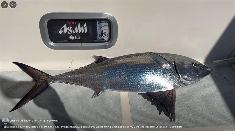 Tristan Gourlay caught this butterfly mackerel on board Blue Moon II - photo © Tristan Gourlay