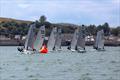 D Zeros at the Aberdeen & Stonehaven Yacht Club Regatta © Rona Rose