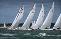 Cowes Classics Regatta 2025 Day 3 - Daring Start © Paul Wyeth / Cowes Classics