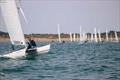 Liam Thom, overall winner - Noble Marine Dart 15 National Championship at Bridlington © Pauline Love
