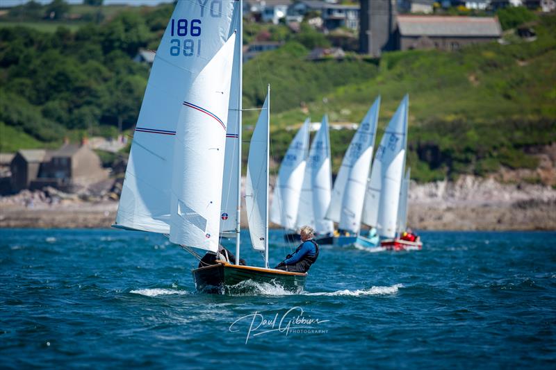 Devon Yawl Nationals 2023 - photo © Paul Gibbins Photography