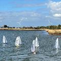 DF95 Autumn Series event 1 at Barton's Point © Peter Jackson