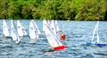 All competitors lining up before the start during the DF95 M&S Travellers Event 2 for the ASH Trophy at Guildford Model Yacht Club © Roger Stollery