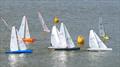 DF95 Spring Series at East Kent RSC - Windward mark during Event 6 © Jim La Roche