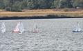DF95 Summer Series event 4 at Barton's Point © Debbie LaRoche