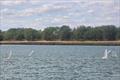 DF95 Summer Series event 4 at Barton's Point © Debbie LaRoche