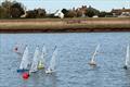 Start 2, half a second after the gun - DF95 Autumn Series at Barton's Point week 4 © Mike Brand