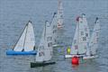 Start 1, Mike Brand away on starboard and Peter Jackson clear on port - DF95 Autumn Series at Barton's Point week 4 © Alan Hounsell