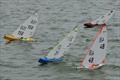 DF95 Autumn Series at Barton's Point week 8 &copy; Alan Hounsell