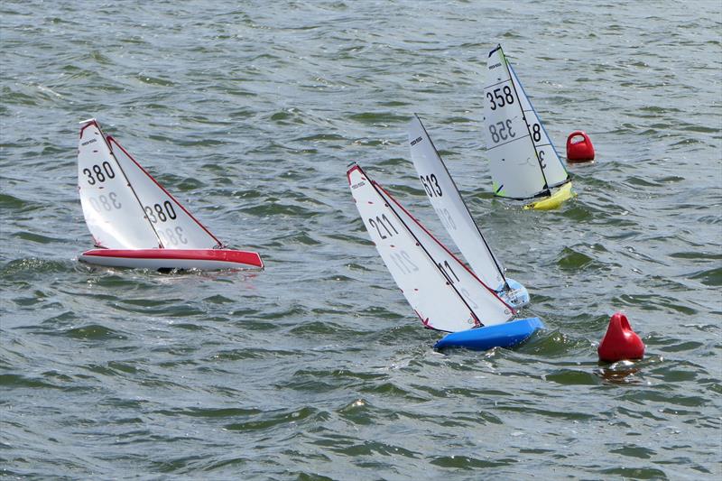 DF95 Summer Series event 1 at Barton's Point Country Park - photo © Alan Hounsell