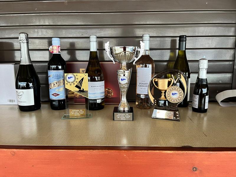 DF95 Eastern District Champion Skipper Series Round 3 at Huntingdon Radio Yacht Club - photo © Andy Start