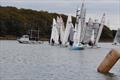 Chichester Yacht Club Frozen Toe Winter Series © CYC members