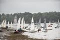 Dartmouth Regatta 2025 © RDYC Photography