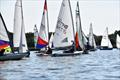 Dinghy fleet start - Barton Regatta &copy; Trish Barnes