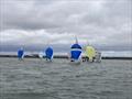 Dragon East Coast Championship 2026 on the Medway &copy; Catherine Gore