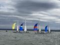 Dragon East Coast Championship 2026 on the Medway &copy; Catherine Gore