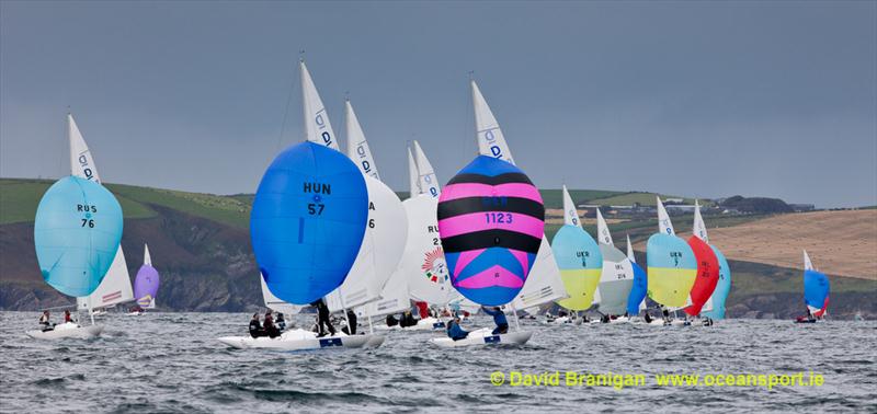 Brewin Dolphin Dragon Gold Cup day 3 photo copyright David Brannigan / www.oceansport.ie taken at Kinsale Yacht Club and featuring the Dragon class