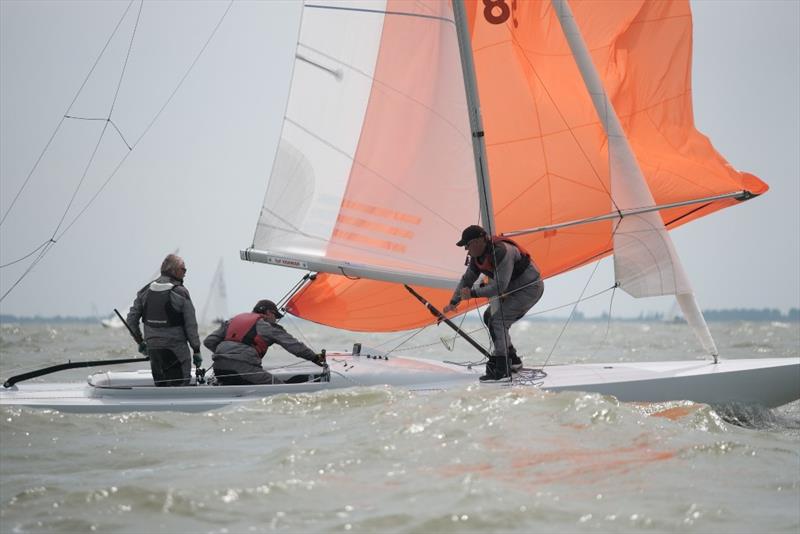 Day 2 - 2019 Yanmar Dragon Gold Cup - photo © Eric van den Bandt