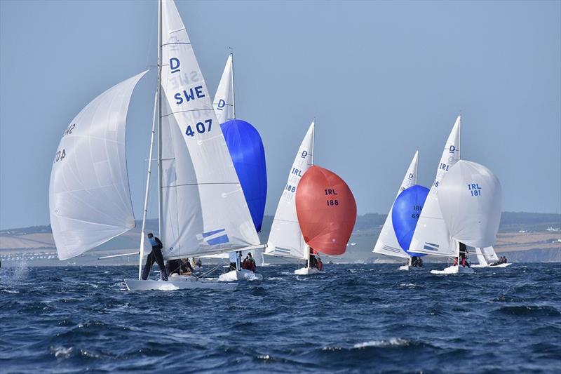 Kinsale Dragon Gold Cup 2024 Day 2 - photo © David Cullinane