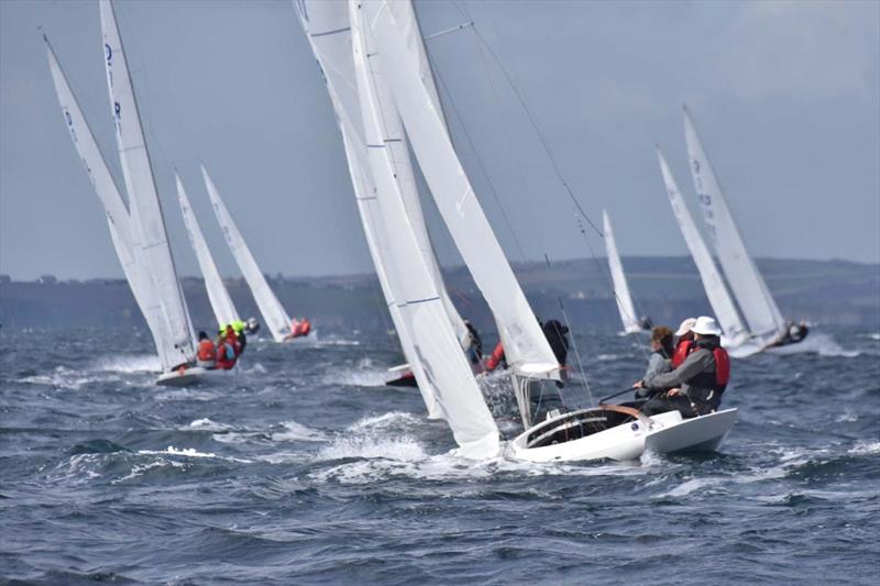 Kinsale Dragon Gold Cup 2024 Day 5 - photo © David Cullinan