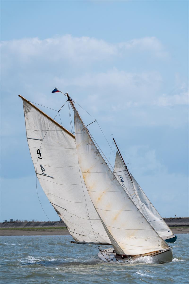 East Coast One Design boats compete during Burnham Week 2024  - photo © Petru Balau Sports Photography / sports.hub47.com