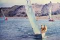 E1238 was the first boat built by Ron Beasley, with his brother-in-law Keith Jones © Brian Foxall