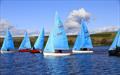Enterprise Scottish Bluebell Series concludes at Forfar © Titch Summers