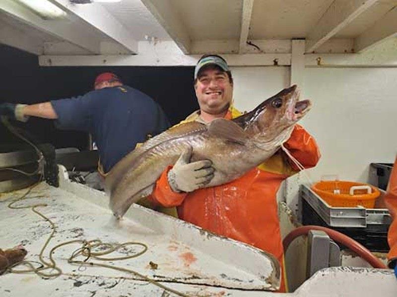 Onboard the F/V Mary Elizabeth, Captain Phil Lynch (background) hauls in the fishing gear. Crew member Steve Kenney (foreground) holds up white hake. photo copyright NOAA Fisheries / Emma Fowler taken at  and featuring the Environment class