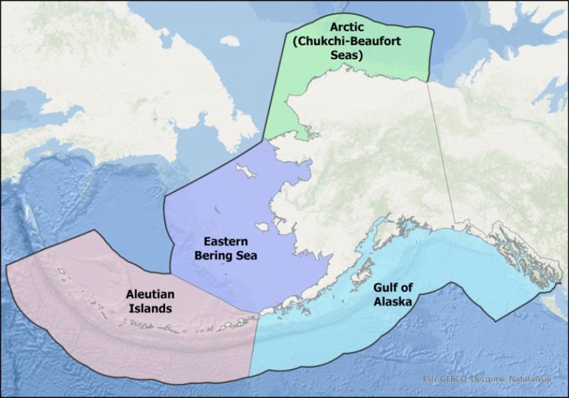 Study area: the Gulf of Alaska and Bering Sea ecosystems. - photo © NOAA Fisheries