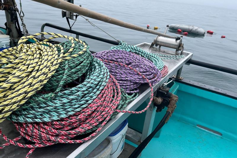 Colored rope is tested for visibility in the ocean - photo © Lauren Saez, NOAA Fisheries
