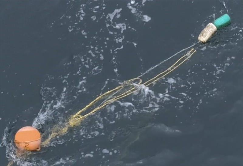 This orange buoy marked with an `R`, indicating it belongs to the California experimental box crab fishery, was involved with a humpback whale entanglement reported near Santa Cruz Island, CA - photo © Newport Coastal Adventure