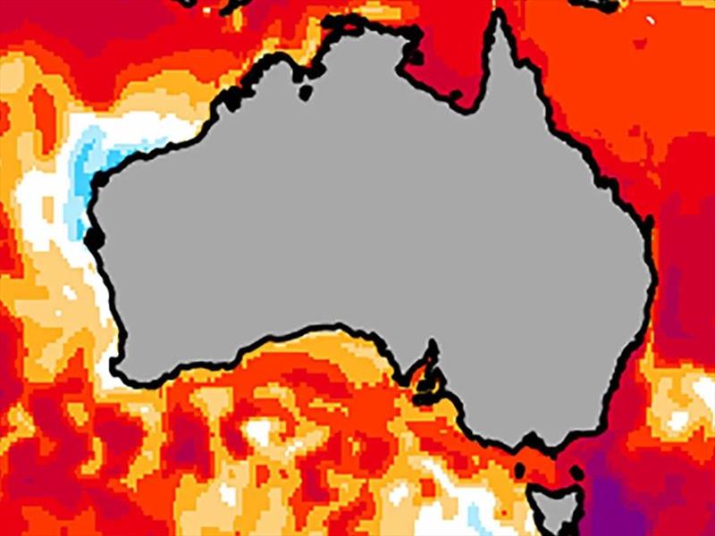 Marine heatwave - photo © Department of NRE Tasmania