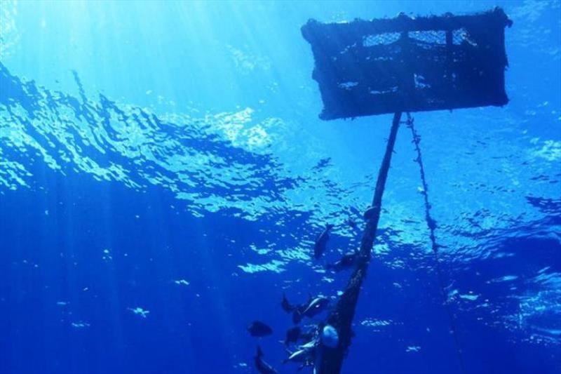 Example of a FAD in the ocean. Currently, most FADs are equipped with satellite tracking devices to allow vessels to track them at sea. About 75percent are also equipped with sonar buoys that help measure the volume of fish congregated underneath the FAD - photo © International Seafood Sustainability Foundation