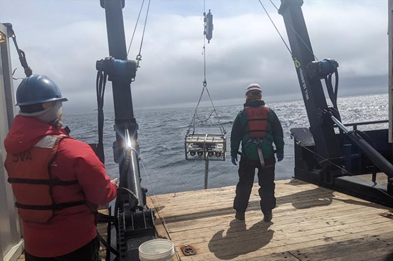 Deploying the stereo camera system - photo © NOAA Fisheries / Christina Conrath