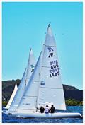 Race 1 - First Tracks - Etchells 2023 NSW Championship day 2 © Dickson Leung