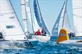 the 2024 Bill Steele Regatta in Fremantle Day 3 © Jordan Roberts, Down Under Sail