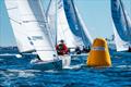 the 2024 Bill Steele Regatta in Fremantle Day 3 © Jordan Roberts, Down Under Sail