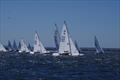 Racer CC leading the fleet into the second leg of race two on day 1 of the Etchells Australian Championship © Jeanette Severs