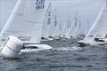 Etchells Orca Bowl Regatta at San Diego Yacht Club © Bob Betancourt