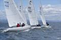 Etchells Orca Bowl Regatta at San Diego Yacht Club © Bob Betancourt