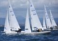 Etchells Orca Bowl Regatta at San Diego Yacht Club © Bob Betancourt