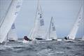 Etchells Orca Bowl Regatta at San Diego Yacht Club © Bob Betancourt