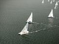 Left - or right - that is the big question - Brian Hilton - Ineos Grenadier Etchells NSW Championship 2026 &copy; Hippodrone