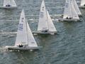 Racing has been extremely close - the details count - Brian Hilton - Ineos Grenadier Etchells NSW Championship 2026 &copy; Hippodrone