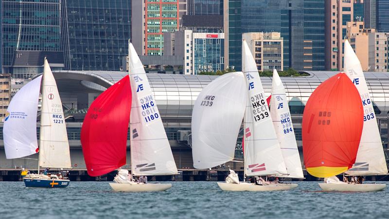 Lipton Trophy 2024 at Royal Hong Kong Yacht Club photo copyright RHKYC / Guy Nowell taken at Royal Hong Kong Yacht Club and featuring the Etchells class