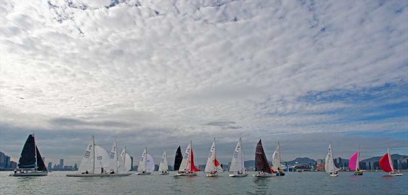 Lipton Trophy 2024 at Royal Hong Kong Yacht Club photo copyright RHKYC / Guy Nowell taken at Royal Hong Kong Yacht Club and featuring the Etchells class