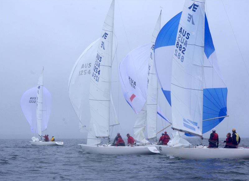 Come Monday, New Wave, Odyssey and Kelpie on a spinnaker run in the 2025 East Gippsland Etchells Championship photo copyright Jeanette Severs taken at Metung Yacht Club and featuring the Etchells class