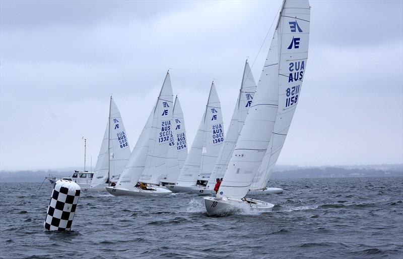 The start of race two in the 2025 East Gippsland Etchells Championship photo copyright Jeanette Severs taken at Metung Yacht Club and featuring the Etchells class