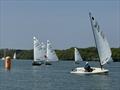 Europe Open at Chichester © Paula Olliff