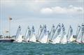 Singlehanded Regatta at Hayling Island © Peter Hickson